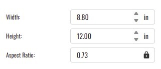 Image sizing controls